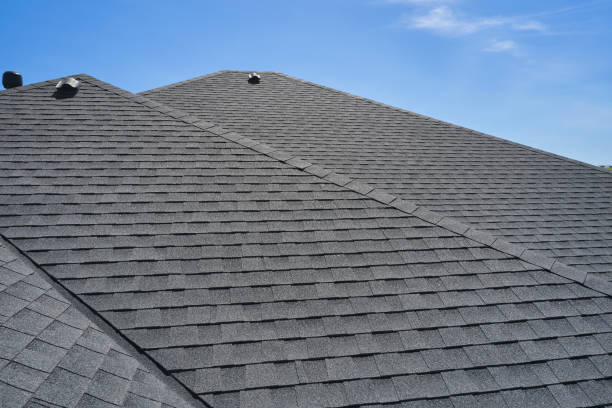 Best Gutter Installation and Repair  in Wesley Chapel, FL